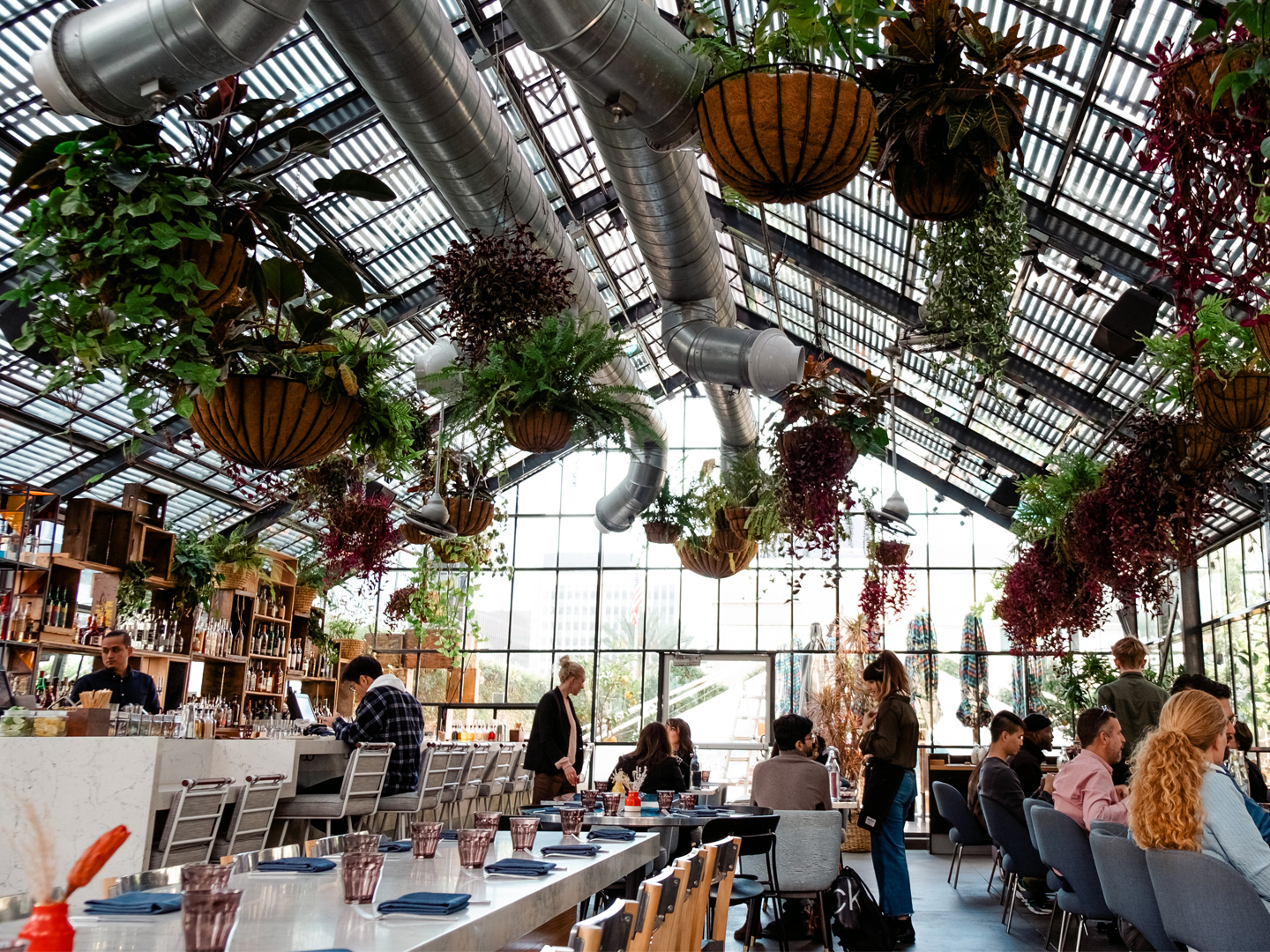 Photo of an indoor restaurant at the LINE hotel with an atrium style roof and hanging plants